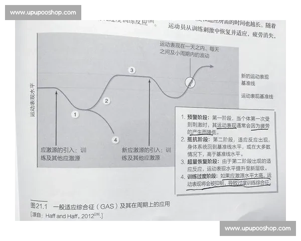 体育科学视角下运动表现提升与体能训练优化研究探索 体育科学视角下运动表现提升与体能训练优化研究探索
